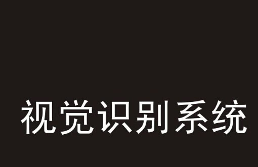 視覺(jué)識(shí)別系統(tǒng)